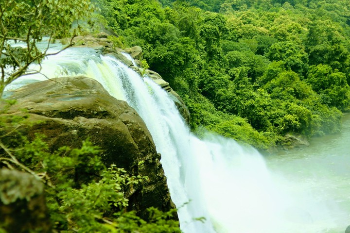 Go Green 