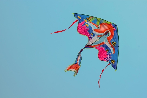 wind, Kite壁纸