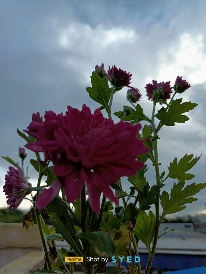 beautiful nature
