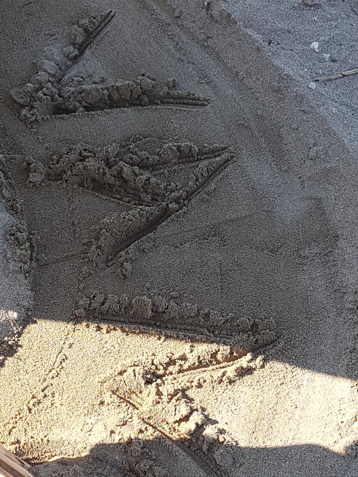 writing my name