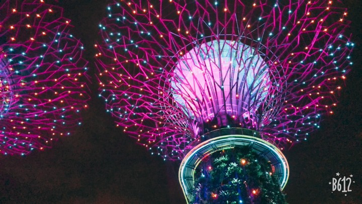 Light performance in Gardens by the Bay