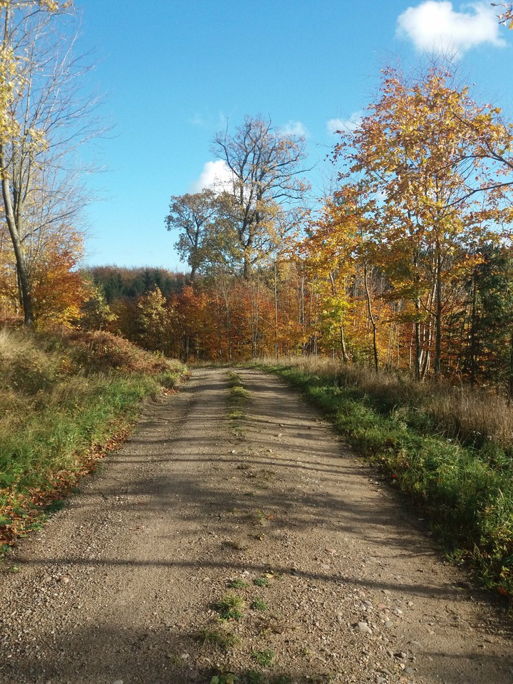 Early fall