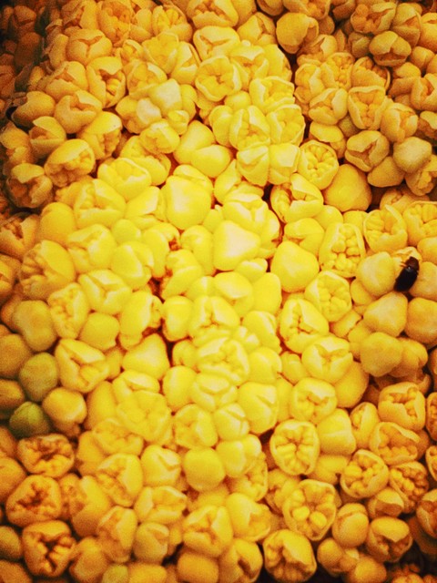 hominy, dal Hintergrundbilder