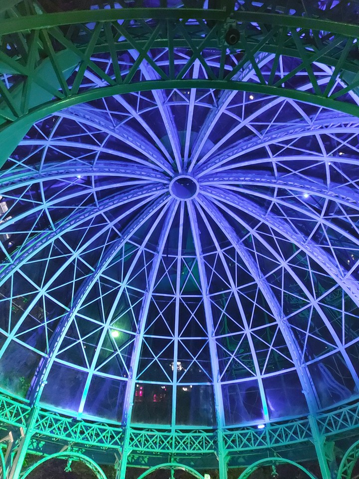 night view