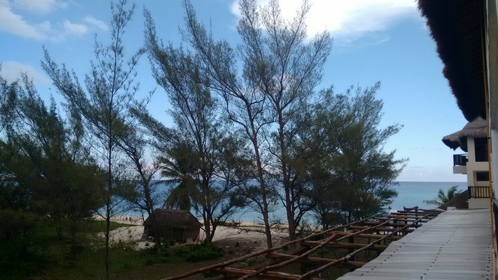 That view