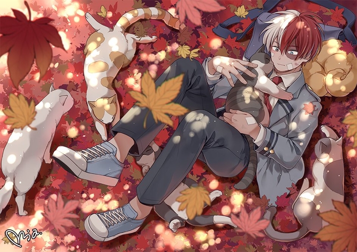 Todoroki Shoto