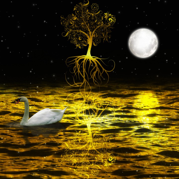 tree of life