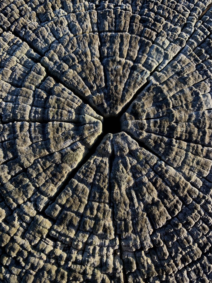 centric