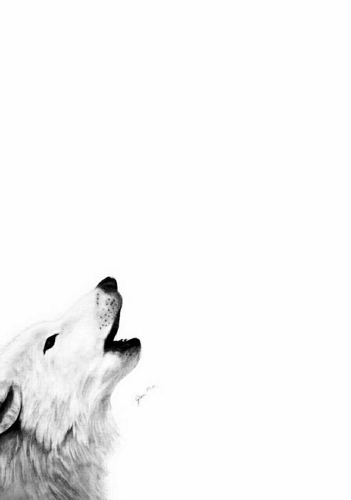 White wolf