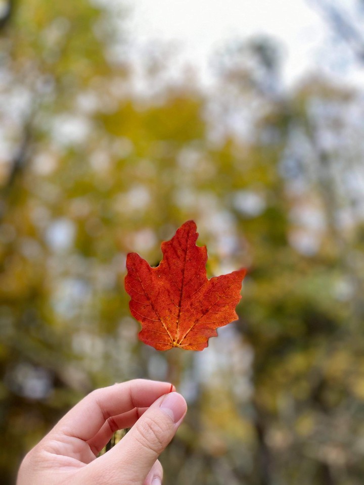 Autumn