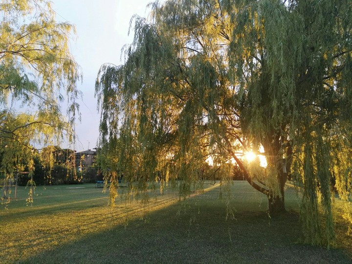 I love nature