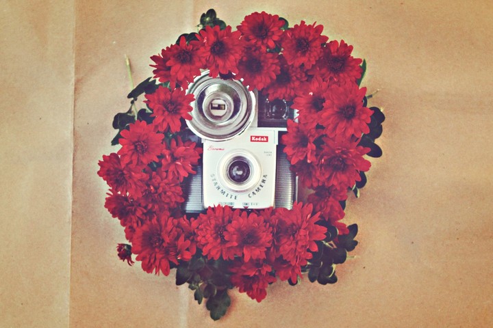 фотопарат