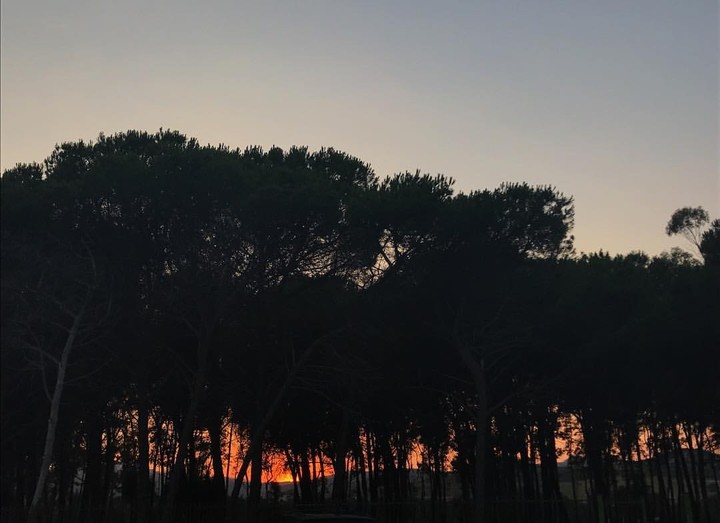 sunset