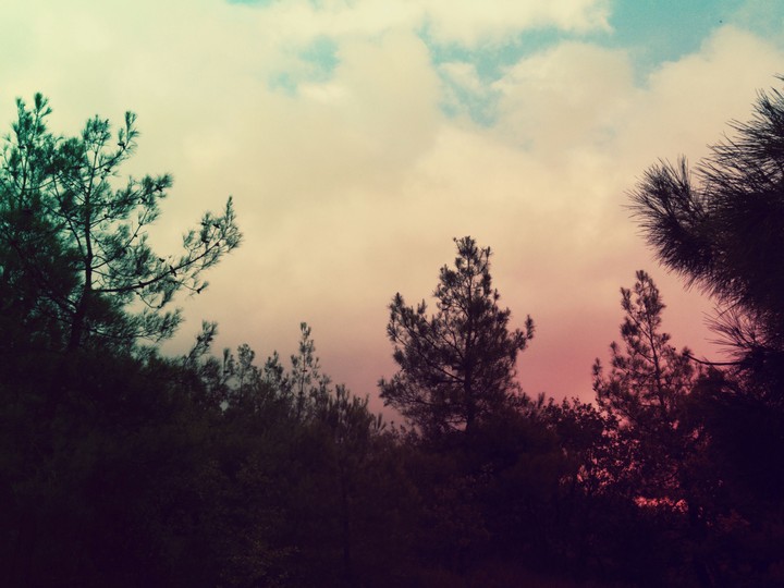 Colors