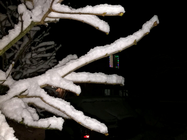 snow❄️❄️❄️