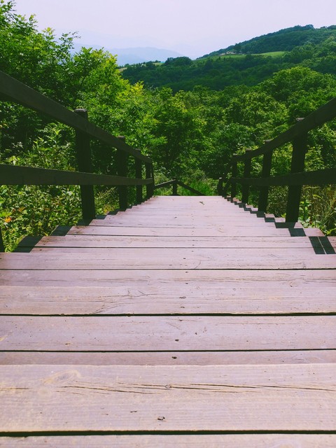 산속의 계단