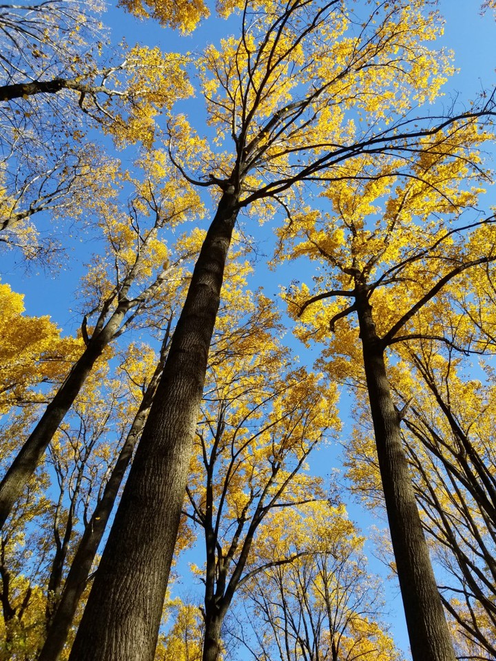 Peak Autumn colors