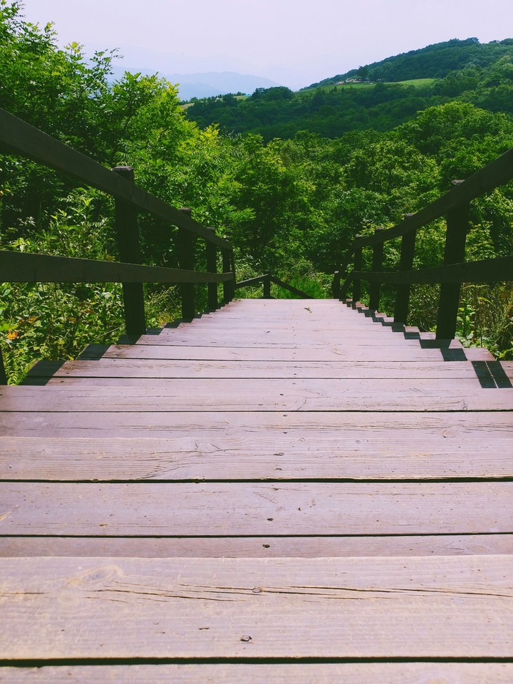 산속의 계단
