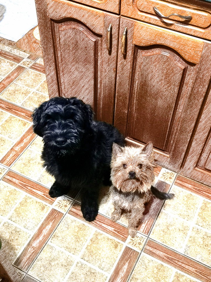 Friends