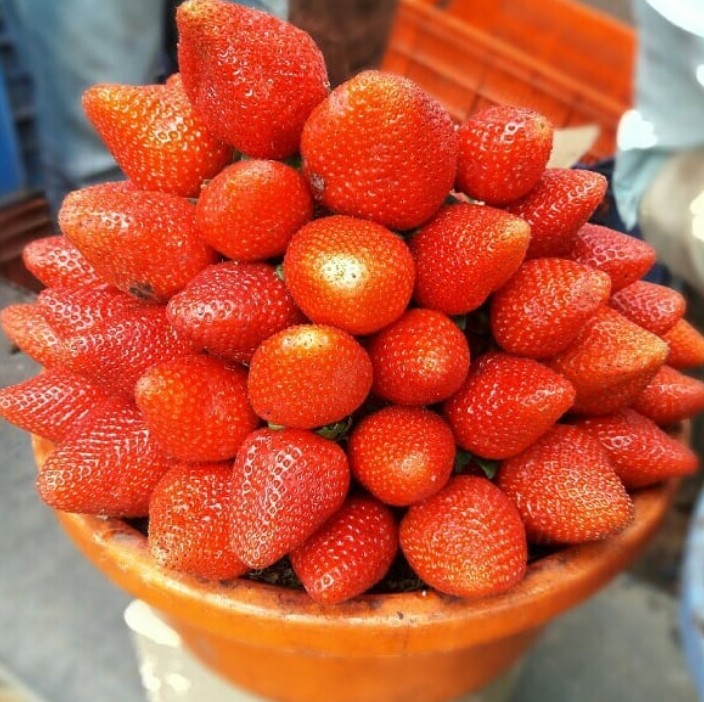 I love