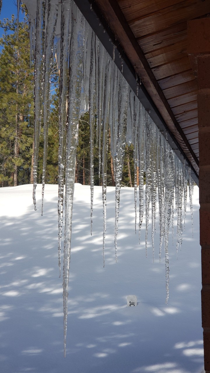 cold winter