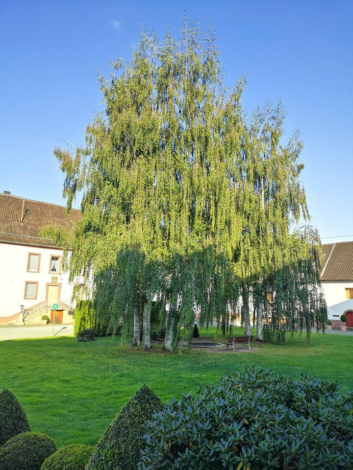 German village