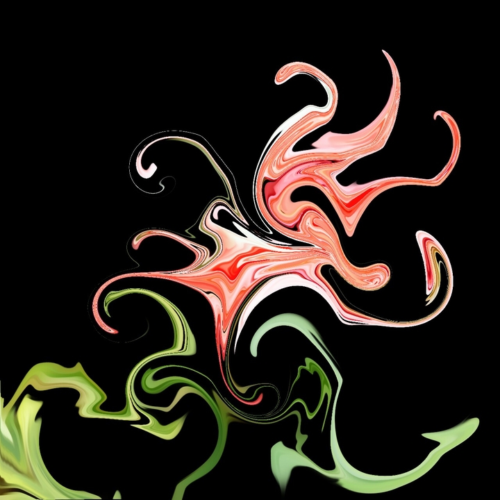 Distorted Flower art
