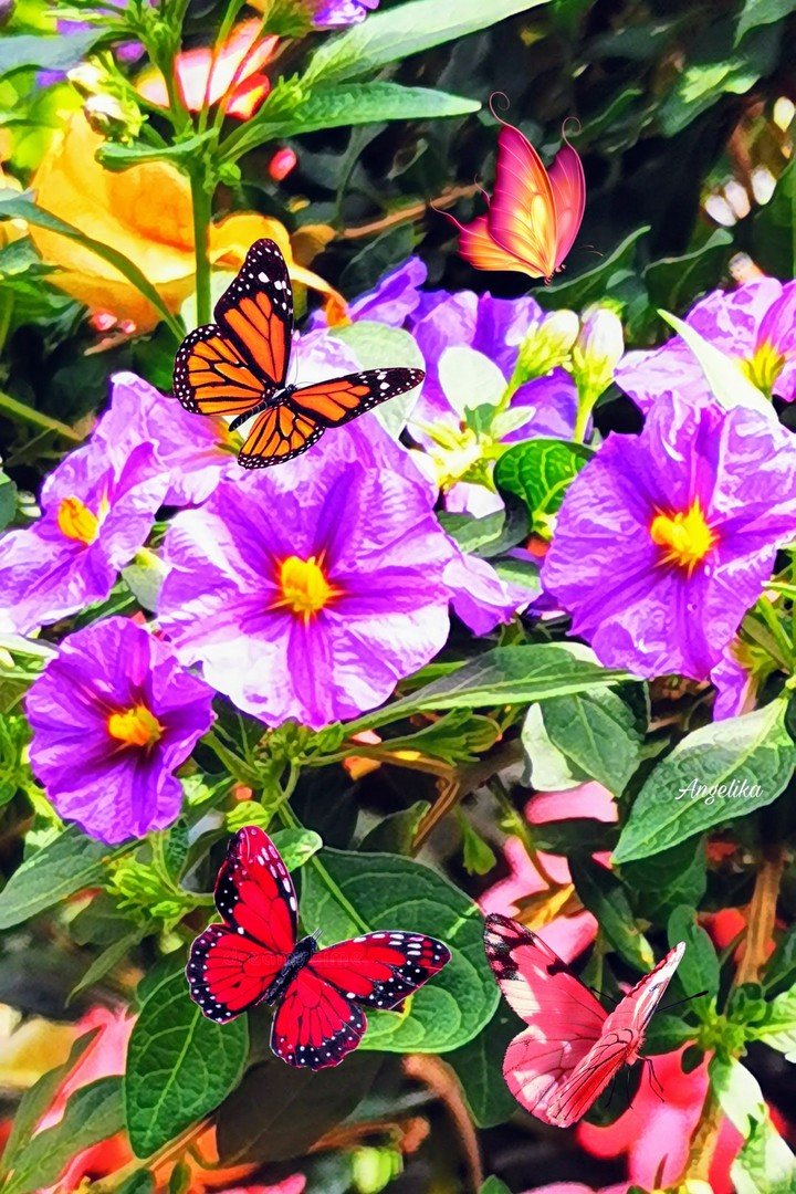Blumen im Garten