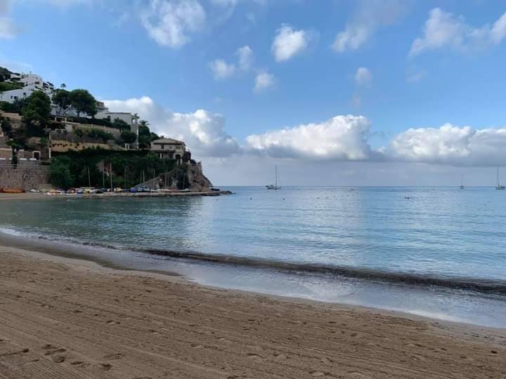 Verano 2020