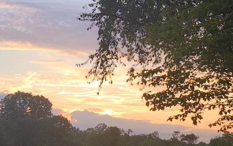 Good Morning Thursday