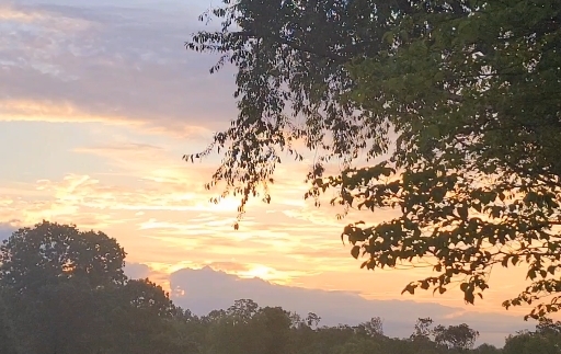 Good Morning Thursday