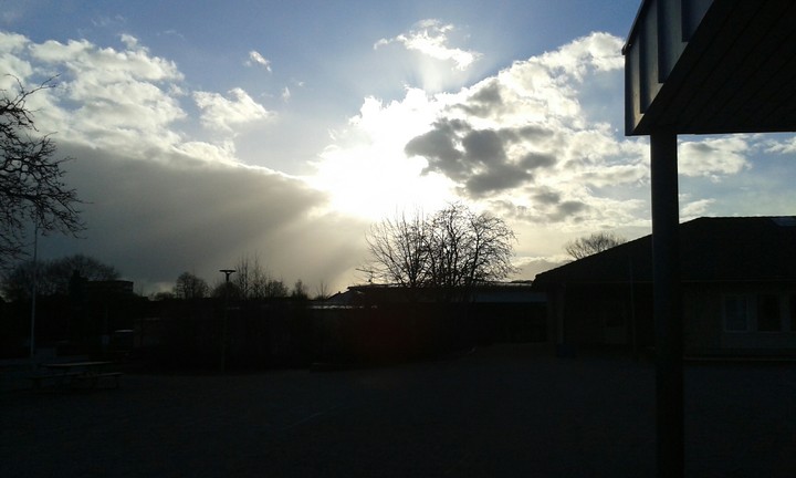 I tolk the Picture  on my school