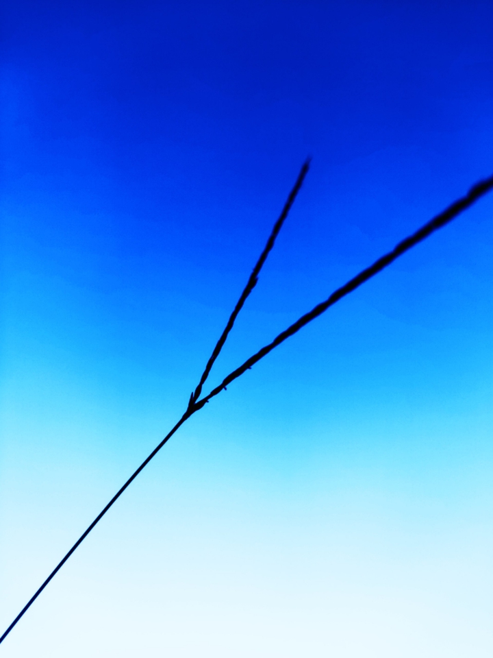 sky blue