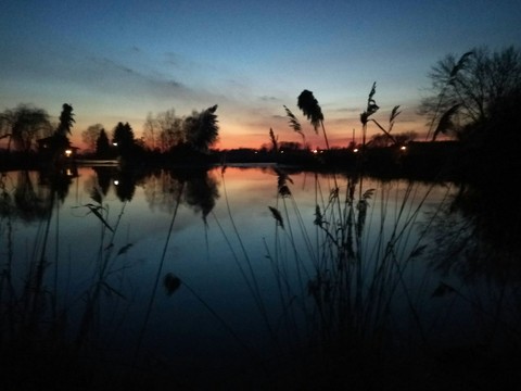evening