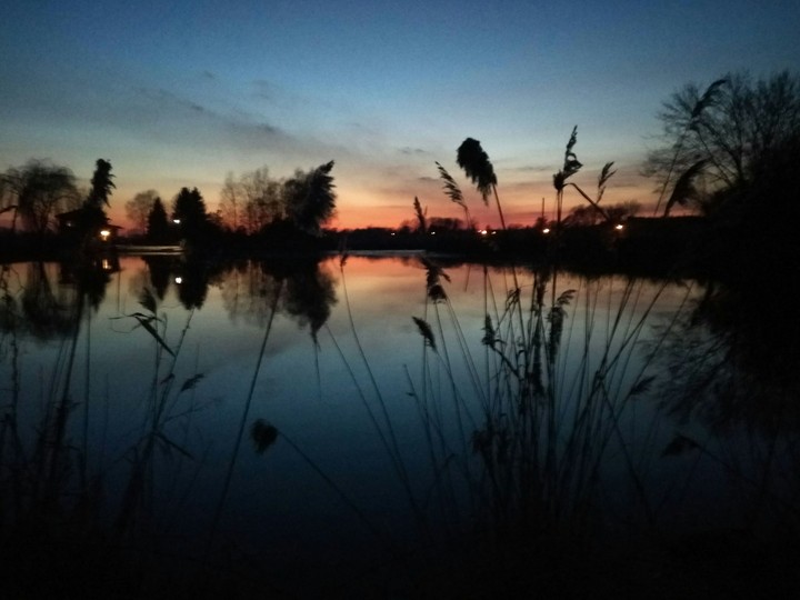 evening