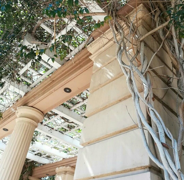 San Diego Balboa Park