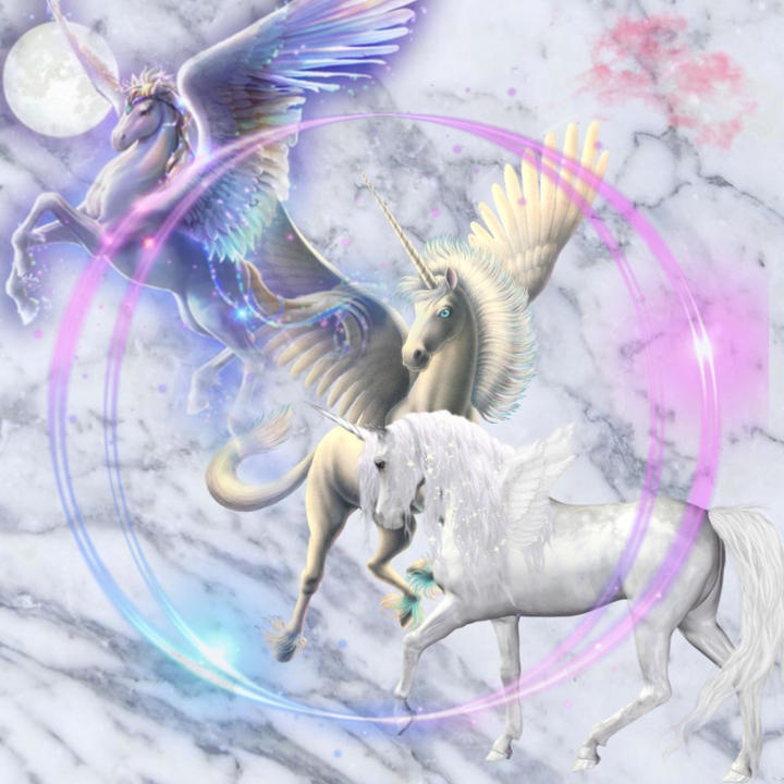 Did somebody say....UNICORN