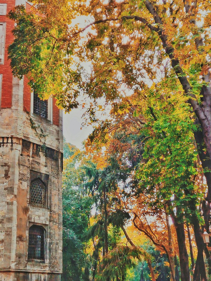 gülhane
