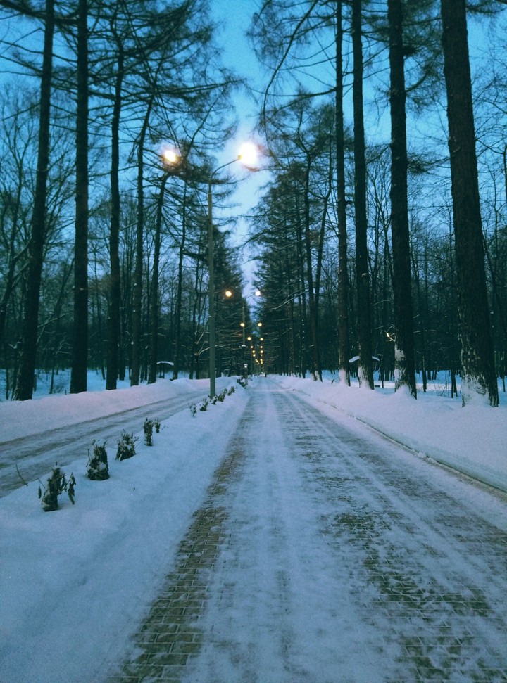 Park. Evening