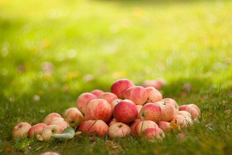 superfood, apples háttérképek