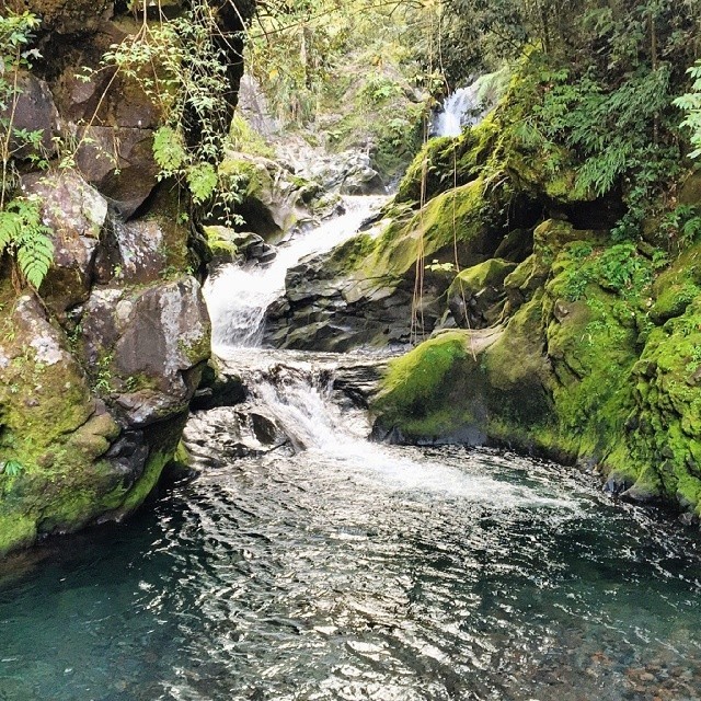 "Impulsive falls"