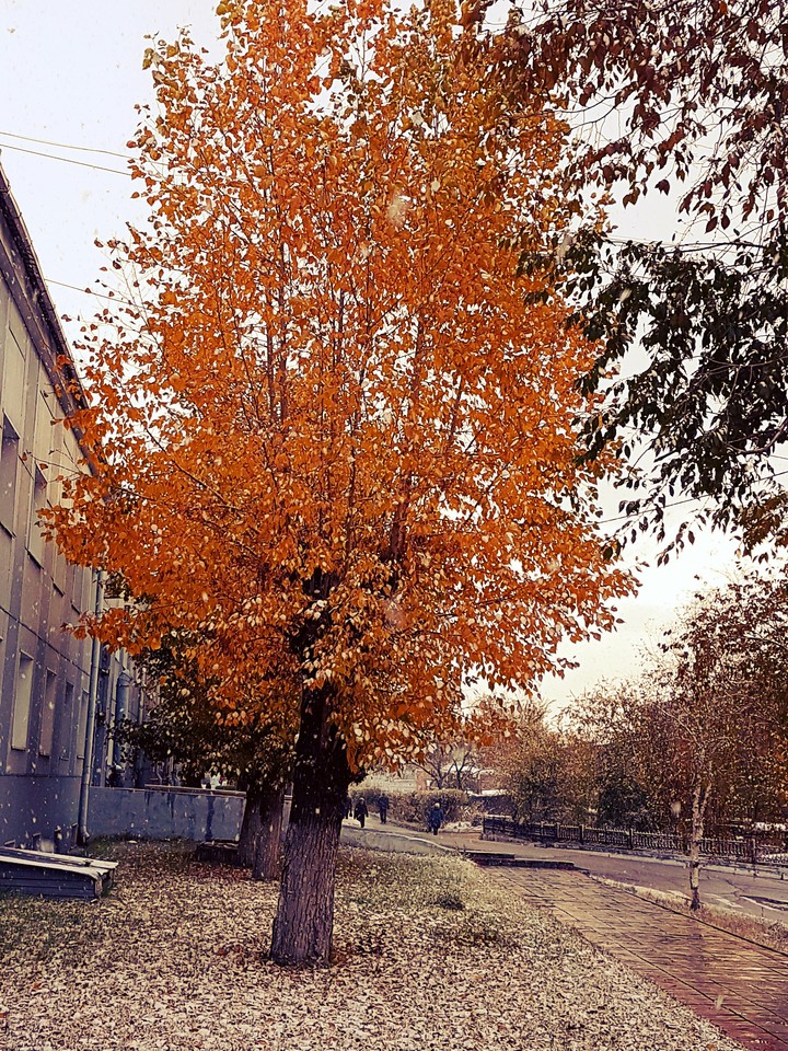 осень