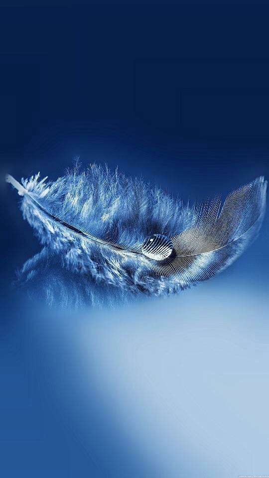 Feather
