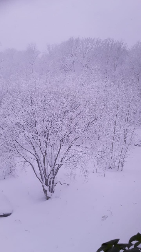 winter