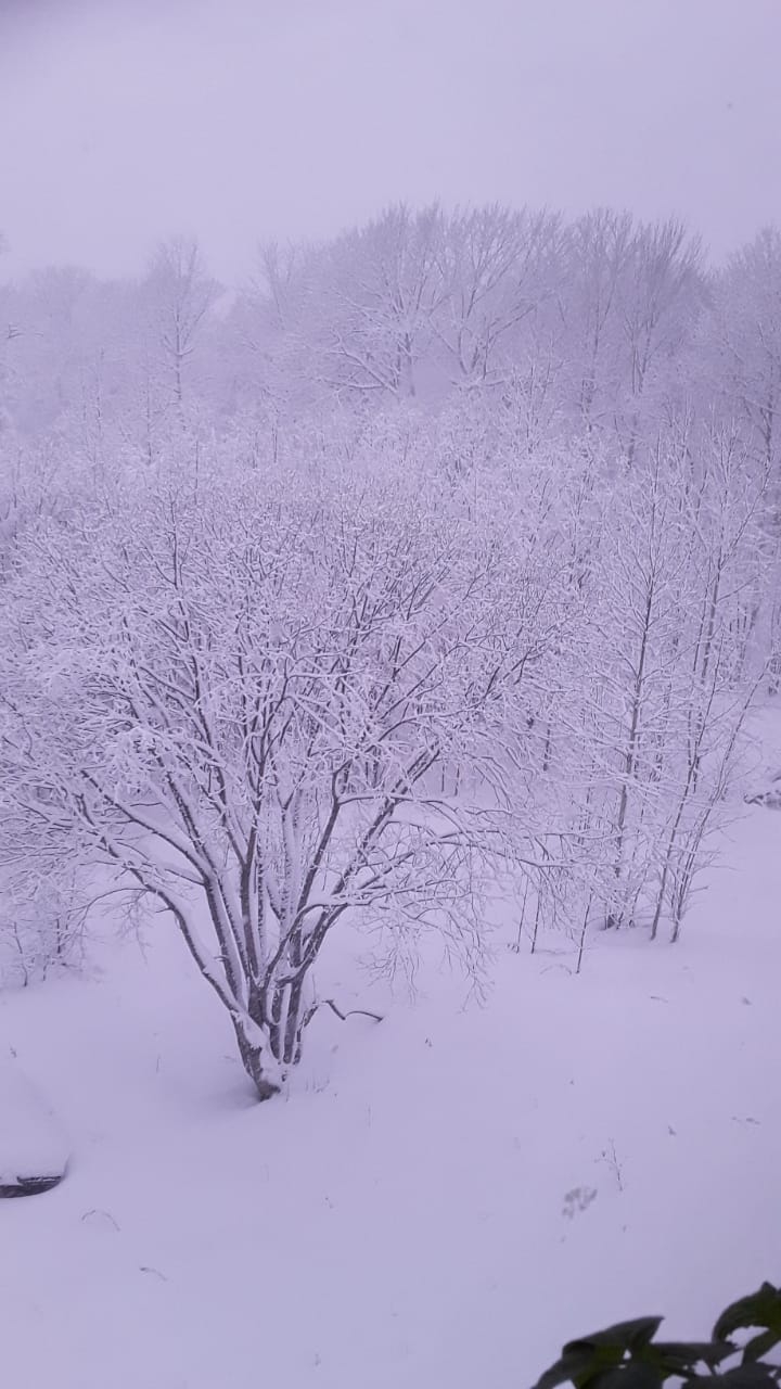 winter