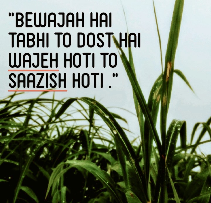 hindi quotes