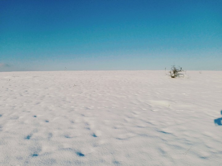 winter