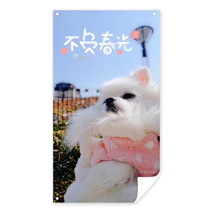 *:ﾟ*｡⋆ฺ(*´◡`) ❤