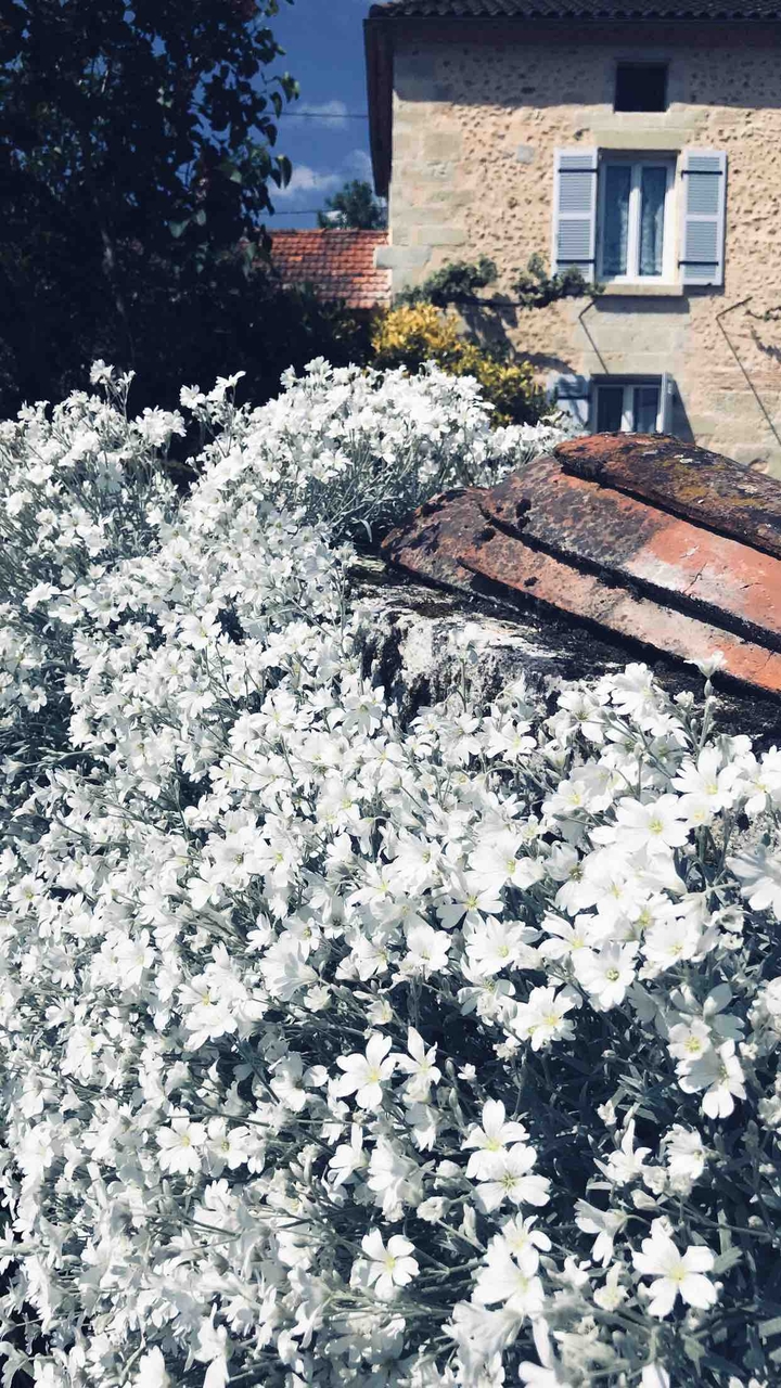 Après-midi au soleil