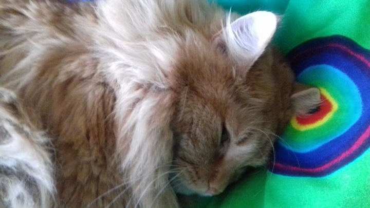 max